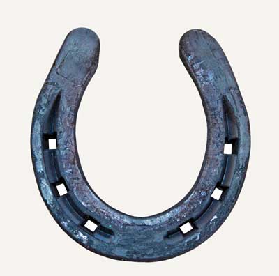 stt-horseshoe